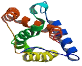 Interleukin 22 (IL22) Interleukin 22 (IL22)