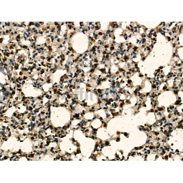 Валидация Affinity DF13219 - 8240