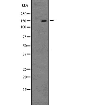 Валидация Affinity DF2912 - 13646