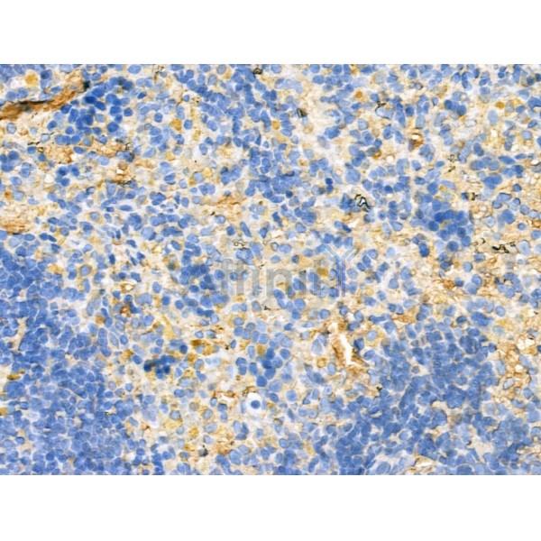 Валидация Affinity DF13323 - 8494