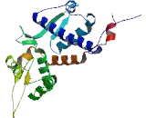 Melanoma Antigen Family B16 (MAGEB16)