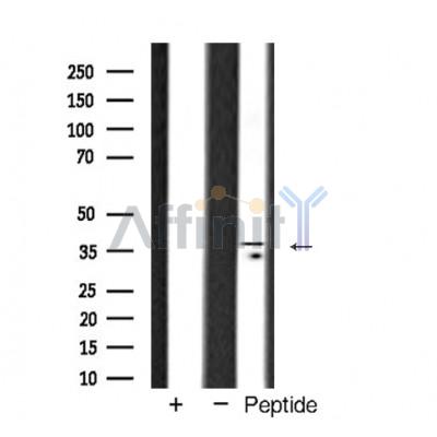 Валидация Affinity AF5476 - 3146