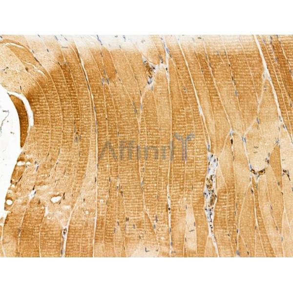 Валидация Affinity DF13171 - 8144