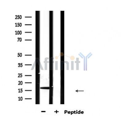 Валидация Affinity DF6217 - 17494