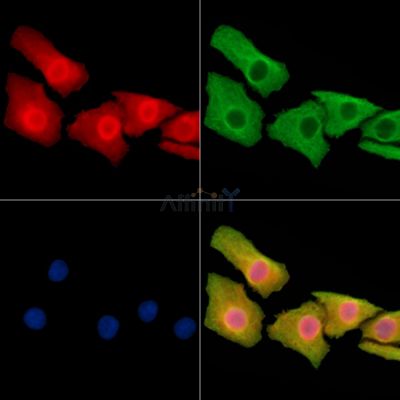 Валидация Affinity DF13956 - 9706