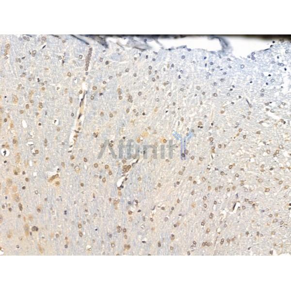 Валидация Affinity DF13682 - 9271