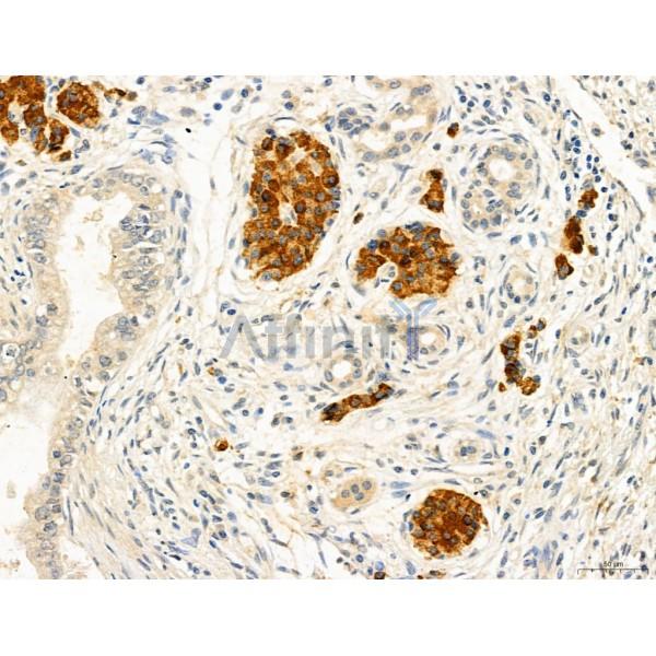 Валидация Affinity DF12122 - 6269