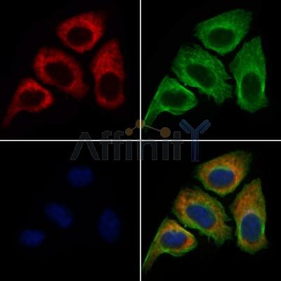 Валидация Affinity DF4918 - 16731