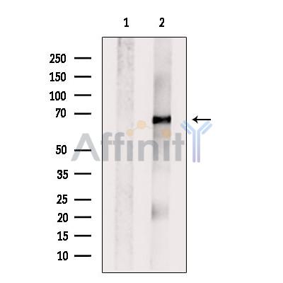 Валидация Affinity DF6710 - 18226