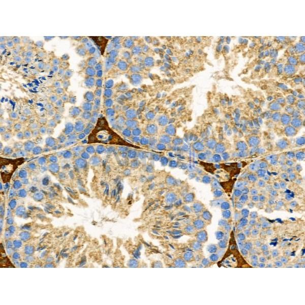 Валидация Affinity DF6274 - 17577