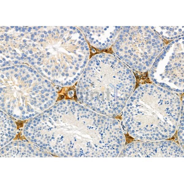 Валидация Affinity DF9324 - 21798