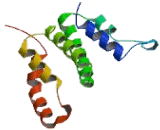 Interferon Gamma (IFNg) Interferon Gamma (IFNg)