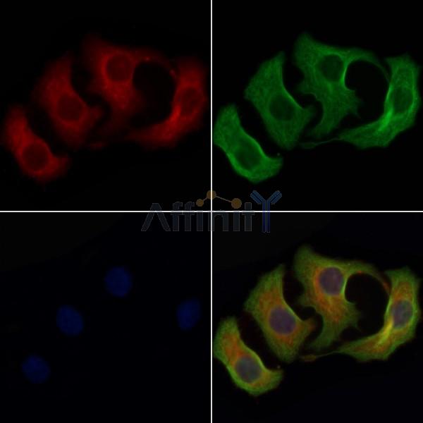 Валидация Affinity DF8260 - 20099