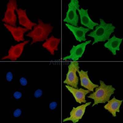 Валидация Affinity DF15225 - 11497