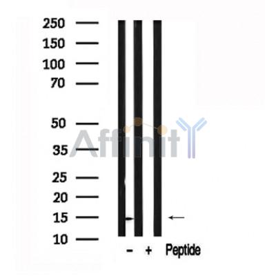 Валидация Affinity AF7534 - 4188