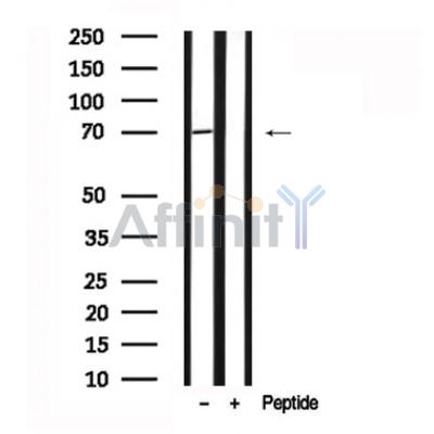 Валидация Affinity AF7616 - 4286