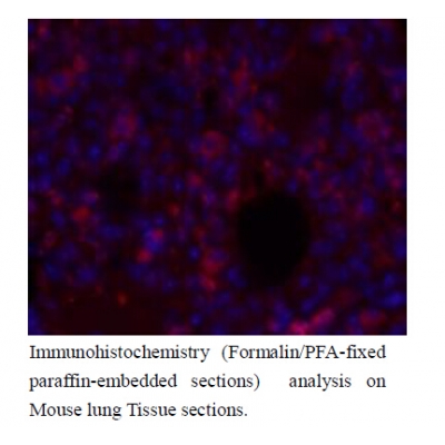 Валидация Affinity AF5228 - 2703