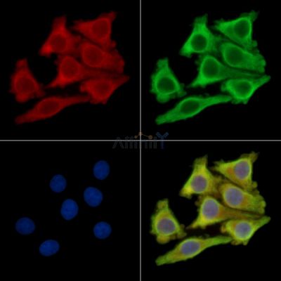 Валидация Affinity DF14010 - 9772