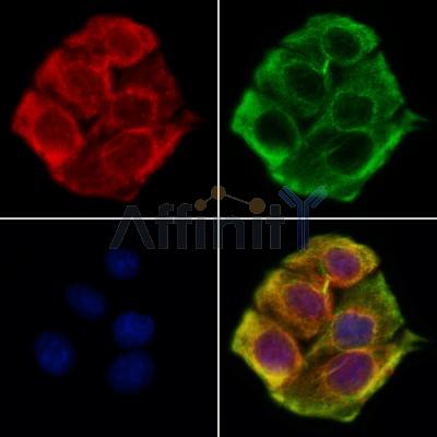 Валидация Affinity DF12231 - 6524