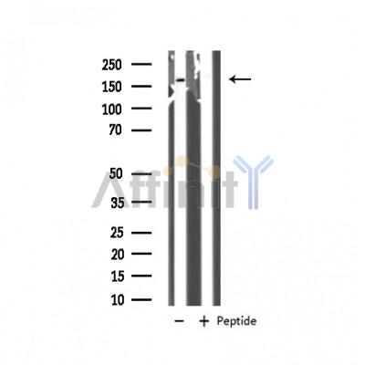 Валидация Affinity AF6484 - 3812
