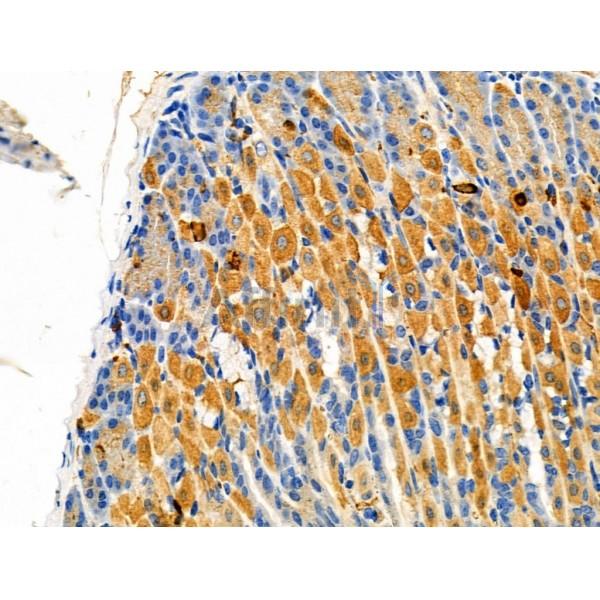 Валидация Affinity DF6385 - 17744