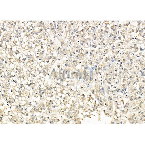 Валидация Affinity DF13240 - 8296