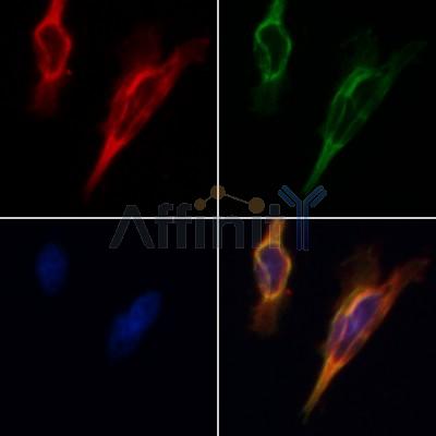 Валидация Affinity AF5135 - 2520