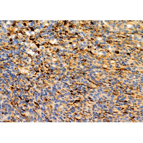 Валидация Affinity DF6086 - 17299