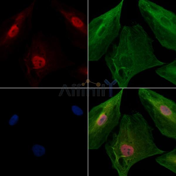 Валидация Affinity DF13668 - 9241