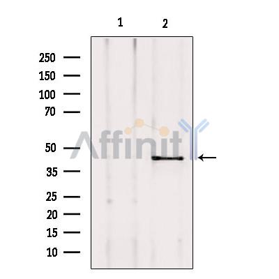 Валидация Affinity DF3129 - 13911