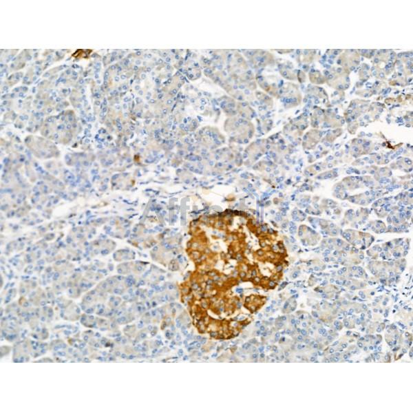 Валидация Affinity DF13406 - 8688