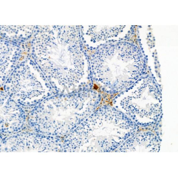 Валидация Affinity DF9032 - 21268