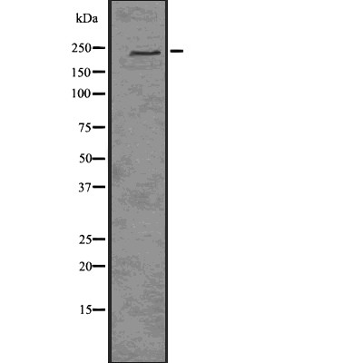 Валидация Affinity DF7614 - 19386