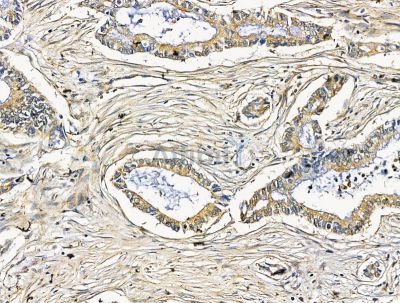 Валидация Affinity DF15621 - 12051