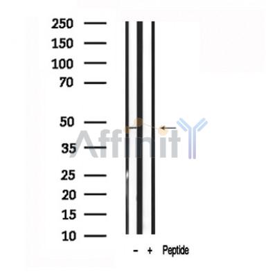 Валидация Affinity AF7554 - 4217