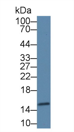 8601