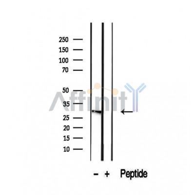 Валидация Affinity DF12459 - 7001