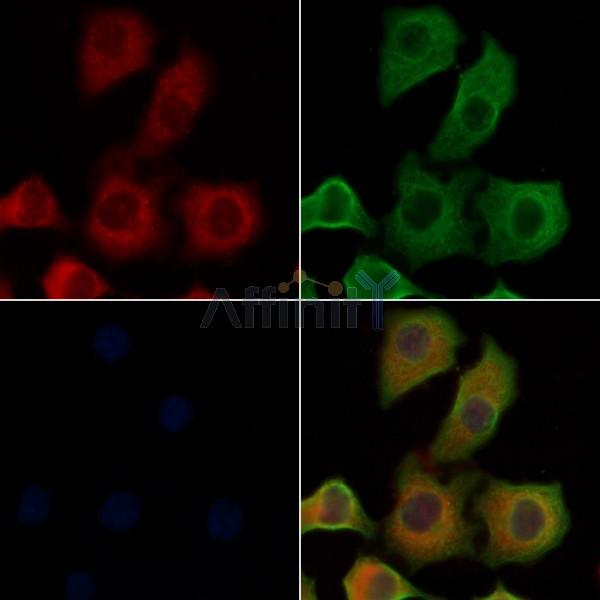 Валидация Affinity DF8567 - 20466