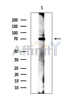 Валидация Affinity DF14251 - 10101