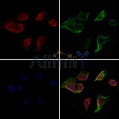 Валидация Affinity AF7022 - 4174