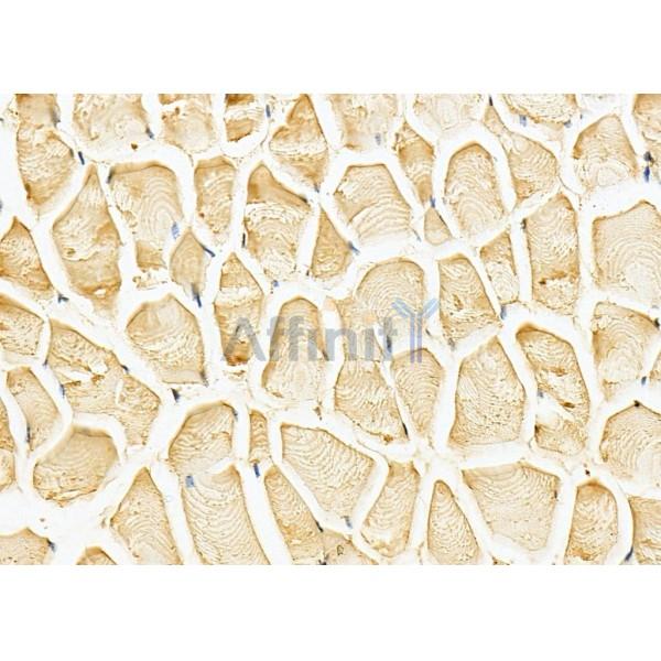 Валидация Affinity DF8662 - 20630