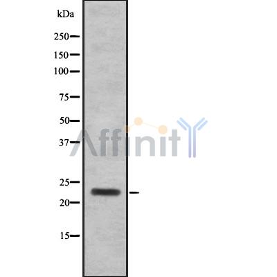Валидация Affinity DF8763 - 20790