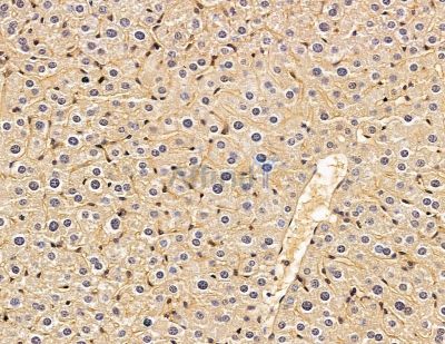 Валидация Affinity DF8430 - 20309