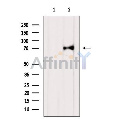 Валидация Affinity DF2933 - 13675