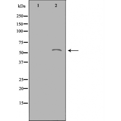 Валидация Affinity DF3734 - 14794