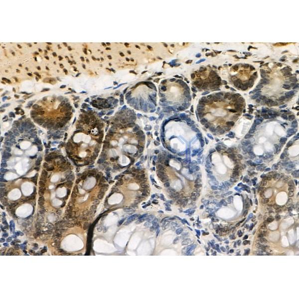 Валидация Affinity DF4774 - 16491