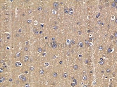 Валидация Affinity DF4991 - 16846