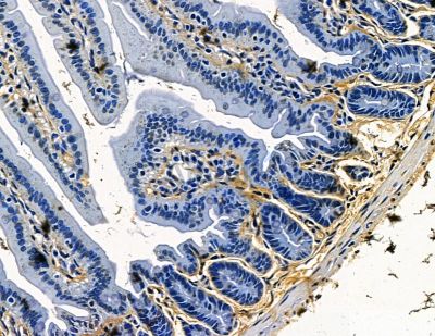 Валидация Affinity DF15276 - 11568