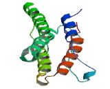 Interferon Alpha 21 (IFNa21) Interferon Alpha 21 (IFNa21)