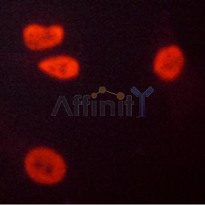 Валидация Affinity AF7006 - 4140